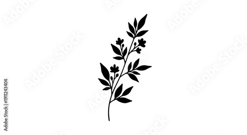 Black Silhouette of a Flowering Plant.