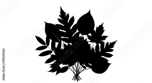Black Silhouette of Leaves and Stems.