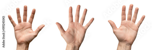 Cuadro en lienzo Hand showing palm with spread fingers close-up isolated on white background, hum