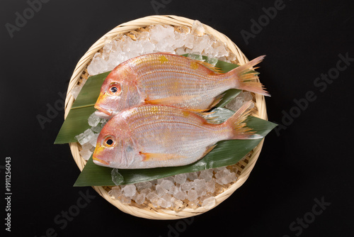 ［長崎県産］きだい（れんこだい）