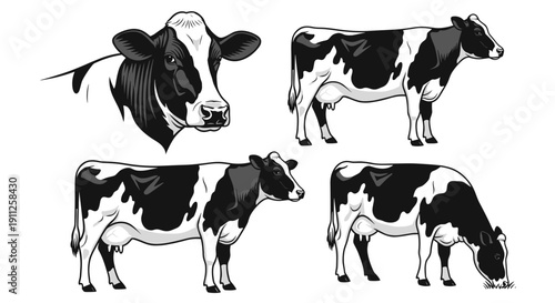 A set of black and white cow illustrations in various poses and views on a plain background