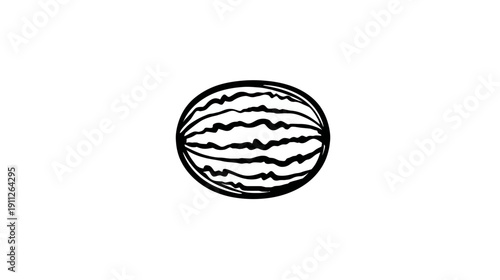 Hand-drawn black and white line art illustration of a whole watermelon with characteristic stripes, fresh summer fruit graphic