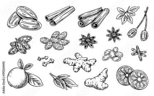 Hand-drawn spices collection: anise stars, cinnamon, ginger, almonds, citrus fruits.
