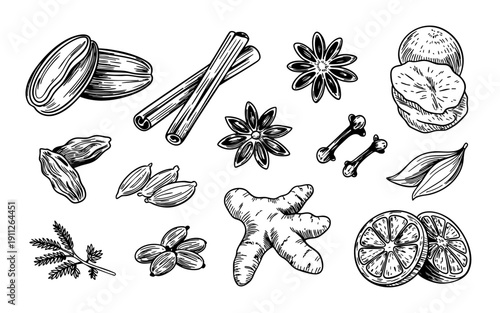 Hand-drawn illustration of various spices isolated on a white background.