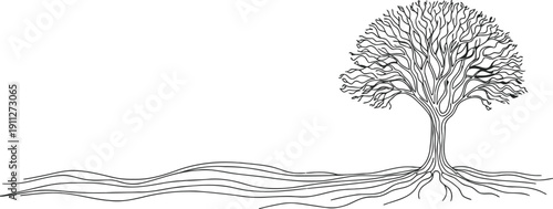 Detailed sketch of a solitary tree with exposed roots on a textured ground