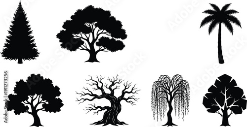 Tree silhouette icons, black and white, pine tree, oak tree, palm tree, willow, leafless tree, landscape design, botanical shapes, nature symbols