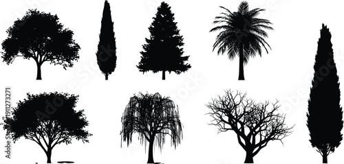 Tree silhouette set, diverse tree shapes, botanical icons, forest elements, palm tree, conifer, deciduous, willow, leafless tree, landscape design