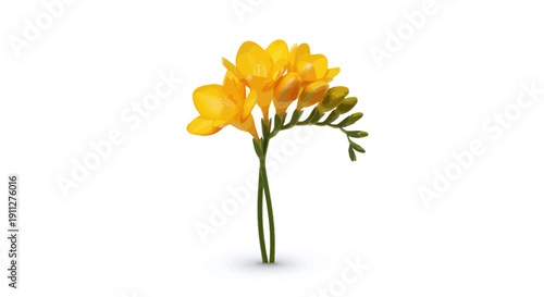 Beautiful flower blossoming in a serene environment with vibrant petals and lush greenery viewed from a front perspective.