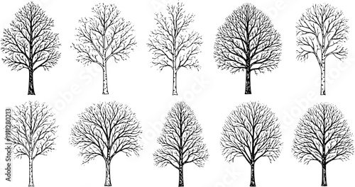 .Winter trees silhouettes collection. Set of isolated vector design elements.. Hand drawn illustration in sketch style. Nature template. Clipart.
