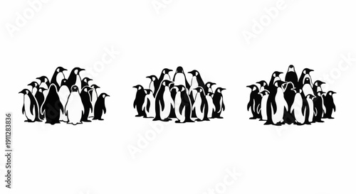Penguins gathered in three groups standing together on ice from a front view