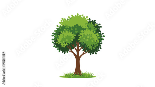 Green Tree with Brown Trunk Illustration.