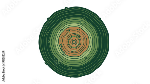 Tree Stump Cross Section with Rings.
