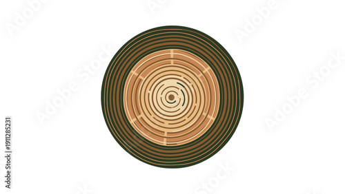 Cross Section of Tree Trunk with Rings.