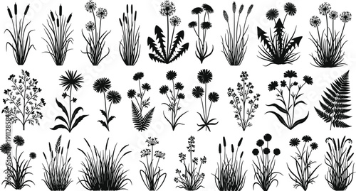 Collection of garden plants and wild flowers in a black and white cad drawing flat vector illustration for architectural landscape design projects