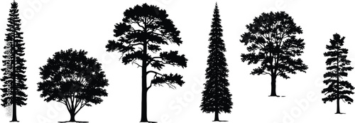 Detailed black tree silhouettes, realistic pine spruce and oak forest plant shapes for architectural sections, cad drawing flat vector illustration set