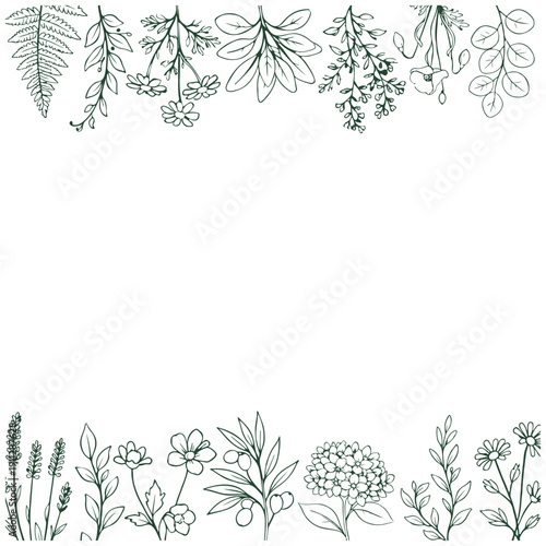 手描きボタニカル線画上下囲みフレーム（緑一色）／Hand Drawn Botanical Green Line Art Framed Border