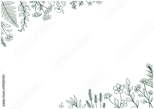 手描きボタニカル線画斜めコーナーフレーム（緑一色）／Hand Drawn Botanical Green Line Art Diagonal Corner Frame