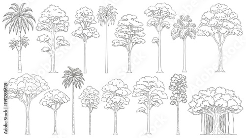 Collection of Various Types of Trees in Black and White Outline Style