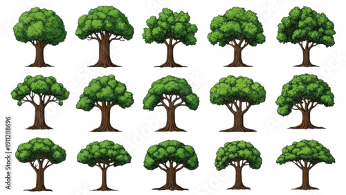 Collection of various green trees in different sizes and shapes