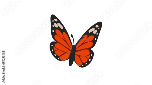 2D Animated Butterfly for Spring Nature and Garden Video