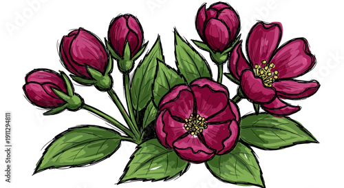 A cluster of vibrant magenta rose buds and open blooms with lush green leaves.