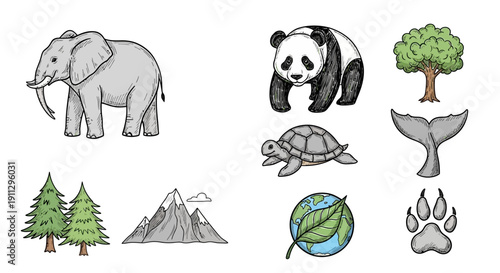 A collection of hand-drawn illustrations depicting various elements of nature and wildlife, including an elephant, panda, turtle, trees, mountains, a whale's tail, and a paw print.