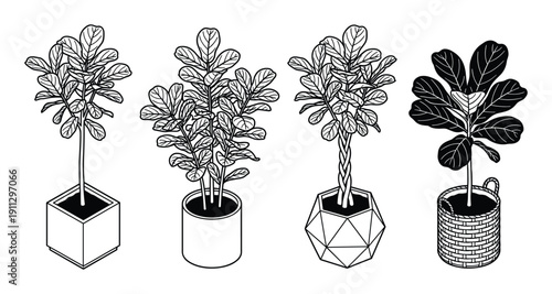 Isometric houseplant icons set with fiddle leaf fig plants in various decorative pots