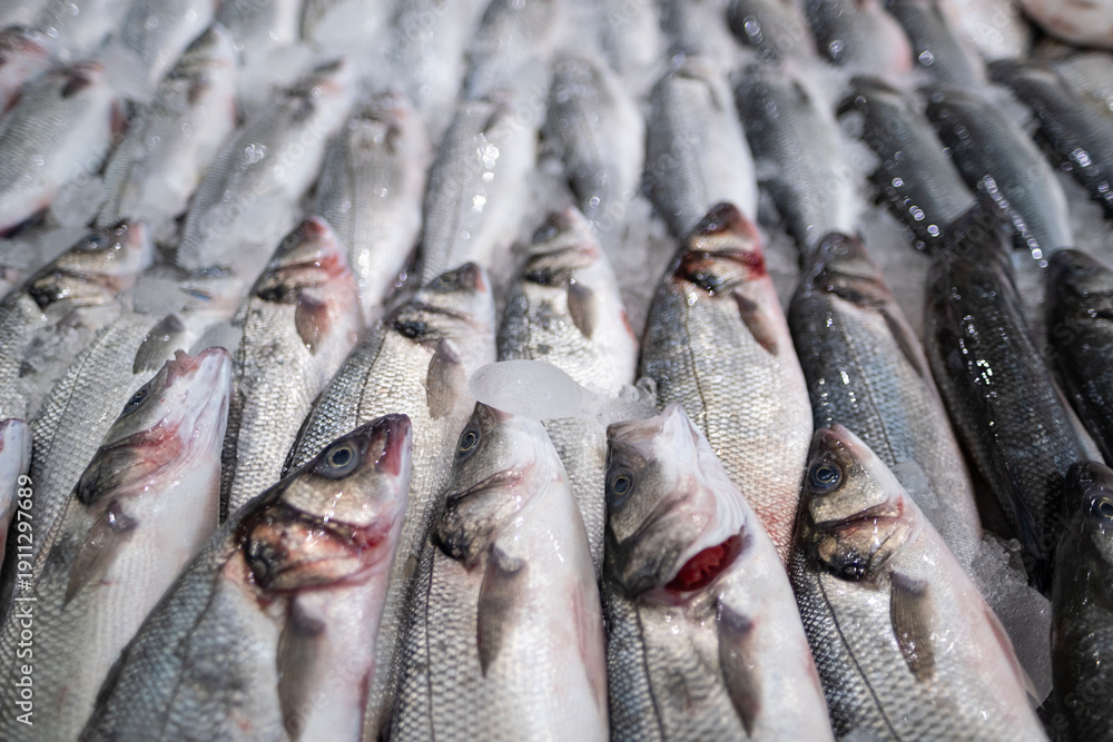 Obraz premium Fresh sea fish arranged on ice at a fish market in Sharjah, UAE. Clean display highlighting natural seafood quality, freshness, and healthy nutrition concept.