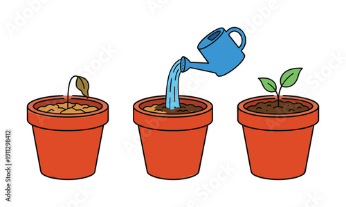 Plant growth sequence showing watering process from dry soil to green sprout