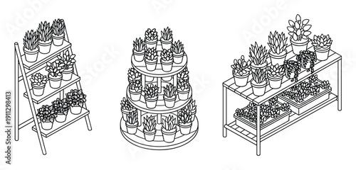 Plant stands and shelves displaying potted succulents and flowers for interior design
