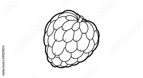A simple black and white line drawing of a raspberry fruit on a plain white background.