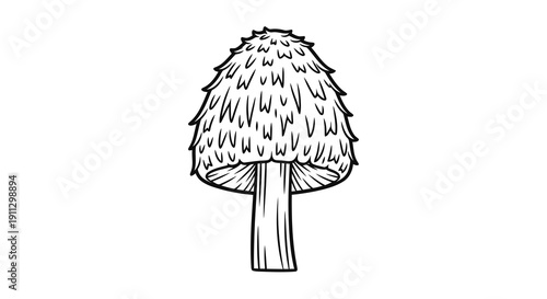 A simple black and white drawing of a mushroom with a distinctive shaggy cap.