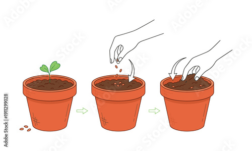 stages of planting seeds in a pot, hand placing seeds in soil, covering with earth, and new sprout