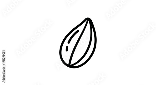 Simple line drawing of a seed or nut on a white background.