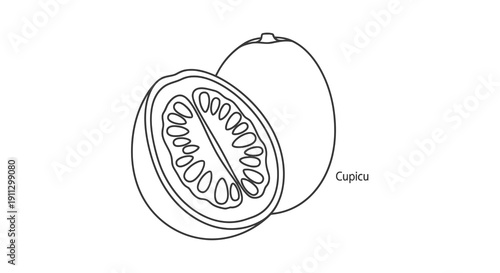 A simple line drawing of a mitochondrion with labeled cristae and outer membrane.