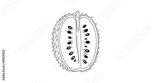 Detailed illustration of a seed pod with visible seeds inside.