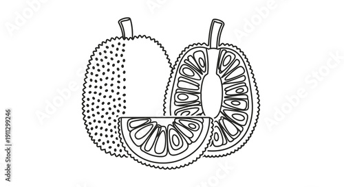 Detailed illustration of a fruit cut open to reveal its inner segments and seeds.