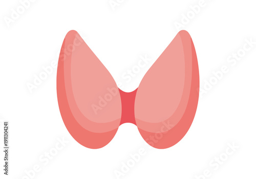 Illustration of a healthy pink thyroid gland.