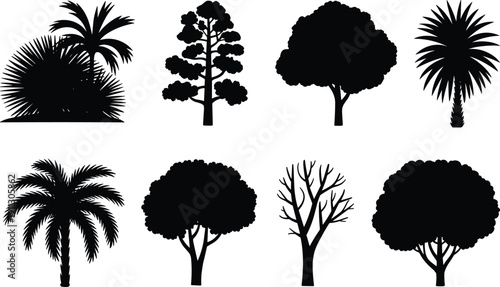 Tree silhouette collection set, tropical palm and deciduous forest trees vector illustration bundle isolated black nature shapes on white background