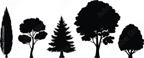 Tree silhouettes collection, deciduous and conifer trees isolated on white background, forest vegetation elements, botanical nature vector illustration set