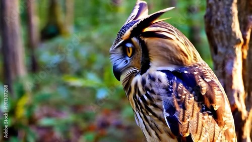 Majestic Brown Owl in the Forest