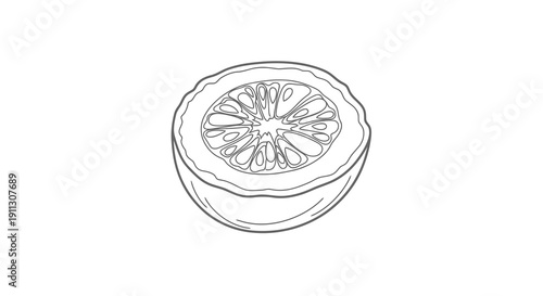 Detailed line drawing of a halved citrus fruit on a white background.