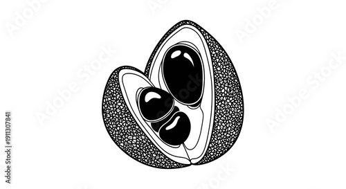 Detailed black and white drawing of a fruit cut open to reveal seeds inside.
