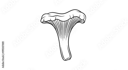 A simple black and white drawing of a mushroom with a distinctive cap and stem.