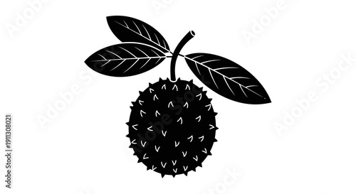 A simple black and white illustration of a spiky fruit with leaves.