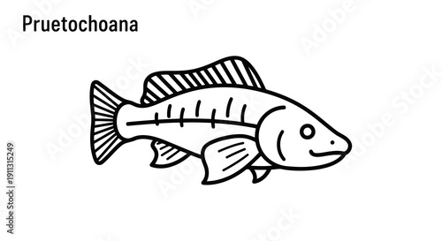 A simple black and white illustration of a fish with the label pruetochoana.