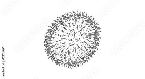 Detailed black and white illustration of a spherical object with intricate patterns against a plain background.