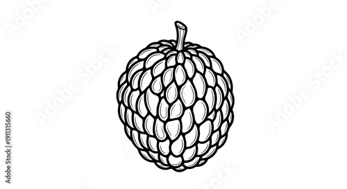 A simple black and white line drawing of a fruit with a textured surface.