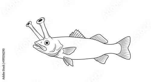 A simple line drawing of a deep sea anglerfish with distinctive long fins.