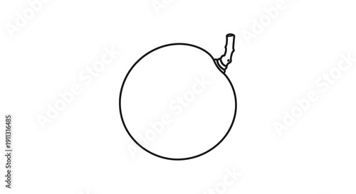 Simple line drawing of a fruit with a stem attached to it in black on white